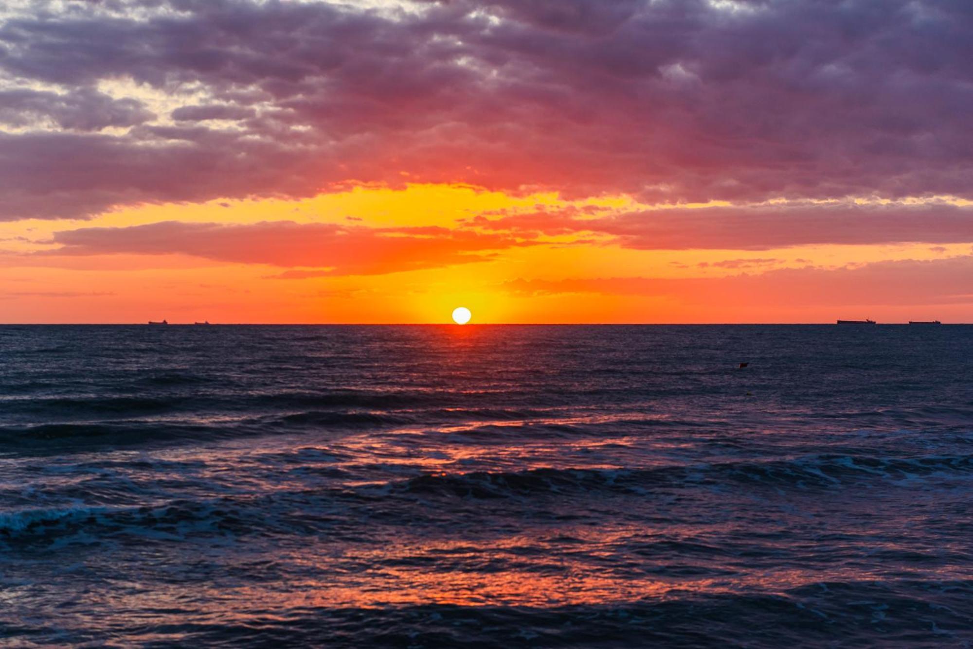 Sea La Vie